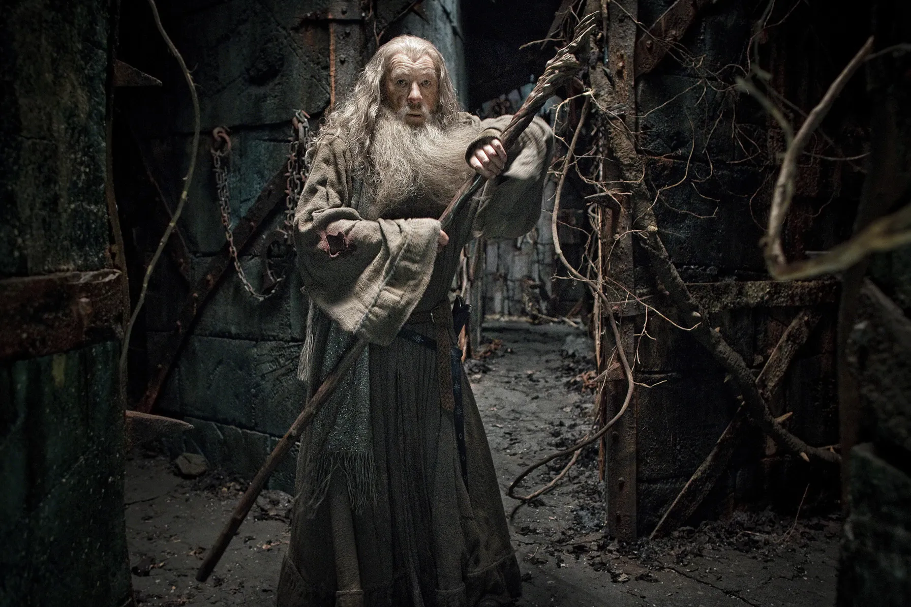 The Hobbit: The Desolation of Smaug